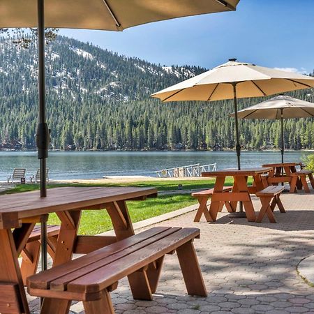 Cozy Studio W/Kitchenette Easily Accessible #113 At Donner Lake Village Truckee Eksteriør billede